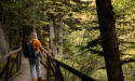 Sustainable Tourism Market is Projected to Achieve a Market Value of $11.4 Trillion by 2032, Reflecting a CAGR of 14%