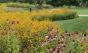 New Exmark Backyard Smart Video Demonstrates How to Plant a Pollinator Garden