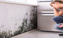Ecosteam Cleaning Services: Leading the Way in High-Pressure and Steam Cleaning in Melbourne