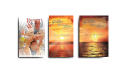 Mitzi Mensch Showcases Captivating Collection of Personal Narratives and Novels