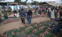 First-ever guidelines to help African governments improve food safety in informal food markets to be developed