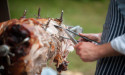 Hog Roast Back in Style, Gourmet Hog Roast South Wales Takes Charge