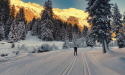 Iphone photography school reviews and announcement of 80% discount For new customers