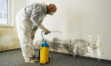Top 10 Mold Removal Companies in South West Florida