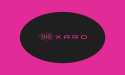  XARO Supports Businesses with Premier VPS Solutions and Servers 
