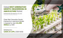 Next-Generation Genetic Engineering in Agriculture Market : Size, Growth Drivers, and Industry Analysis 2021-2030