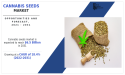Cannabis Seeds Market Poised for Explosive Growth, Forecasted to Reach $6.5 Billion by 2031