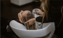 Recent Developments in the Hair Care Industry & its effect on the UK market