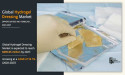  Hydrogel Dressings Market Strategic Insights and Competitive Landscape by 2032 | CAGR 10.1% 