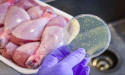 Expert Warns Of ‘Serious’ Public Health Concern As Lab Detects Multi Resistant ‘Superbugs’ In 58% Of Lidl’s British Chicken Meat