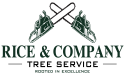 Low Cost Tree Removal Service in Anchorage, Alaska