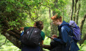  412% Increase In Jobs At Scotland Rewilding Sites, Research Shows 