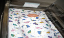 Guidelines for Early Rehabilitation and Nutrition for Infants at Risk of Neurological Issues