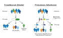 Precision Medicine Market Size Expansion 2024: A New Horizon for Global Healthcare Solutions