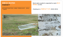 Birch Water Market to reach $2.4 Billion by 2031 | CAGR 7.2%