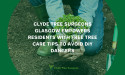 Clyde Tree Surgeons Glasgow Empowers Residents with Free Tree Care Tips to Avoid DIY Dangers