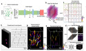 EventLFM: Event Camera integrated Fourier Light Field Microscopy for Ultrafast 3D imaging