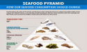 Salmon Market to Hit $76.1 Billion by 2028, Growing at 3.7% CAGR