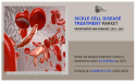 Sickle Cell Disease Treatment Market Updates 2024 : is Projected to Attain USD 1.6 Billion by 2031