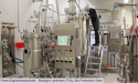 Paras Biopharmaceuticals’ Innovative Biologics Production Capabilities and Unique Technologies Showcased at BIO USA 2024