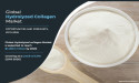 Hydrolyzed Collagen Market to Reach $1.47 Billion by 2026, Reports Allied Market Research