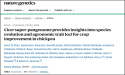 BGI-Research codirigió la investigación del superpangenoma de garbanzos