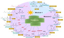 Innovative Light-Driven Enzymatic Biosystem for the Synthesis of Natural Terpenoids