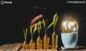 Moonrig Secures Largest Grant Ever Awarded by Partisia Blockchain Foundation, Accelerating Future of Web3 Investing
