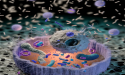 BioloGPT Unveils Revolutionary Biology Knowledge Engine