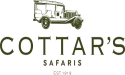 New Wild Movie Nights at Cottar's 1920s Camp - A Unique Cinematic Experience