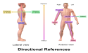 Brookbush Institute Continues Pursuit or Better Education with Better Lessons on Anatomical Directions