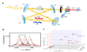 New method for simultaneous high-resolution measurement of chiral molecules