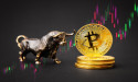 Bitcoin surge lifts Memeinator as crypto bets on Trump win