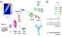High-Speed Camera for Molecules: Entangled Photons Enabled Raman Spectroscopy