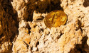 Bitcoin mining company Cipher considering sale after takeover bid