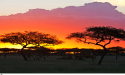  Discover Tanzania's Premier Destinations for the Big Five and Hidden Gems of the Serengeti 