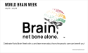  World Brain Week to Kick Off on July 22, 2024 
