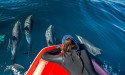 Happy's Crab Island Watersports Introduces Exciting Dolphin Excursions on Waverunners 