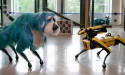 Robotic Dog Market Set for Explosive Growth: Boston Dynamics, Sony Corporation