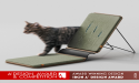 Catvas by Livelyhood Ltd. Wins Iron A' Design Award in Pet Care, Toys, Supplies and Products for Animals Design Category
