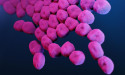 FDA Grants QIDP Designation to Kinnear Pharma for treatment of Acinetobacter baumannii Infections