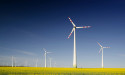  NextEra Energy CEO predicts renewable energy demand to triple by 2030 despite Q2 revenue miss 