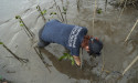  Why Don't We Talk More About Mangroves The Superheroes Of The Coastal Ecosystem 
