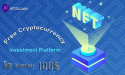 NFTColo Announces Comprehensive Guide to Maximizing Returns in the NFT Market