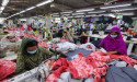 Clothing Manufacturers, Including SDF Clothing, Face $814 Million Loss Amidst Bangladesh Unrest