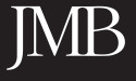  Middle East Summit of Excellence 2024 - A Gathering of Visionaries and Innovators 