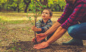 The Living Urn’s Tree Nurseries are Well Stocked in Anticipation of an Increased Demand this Fall