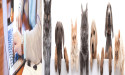E-Learning for Pet Services Market Reworking Long Term Growth |: Coursera , Udemy