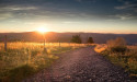 Embark on the Ultimate Summer Road Trip with Top Destinations in Pick-ups or SUVs