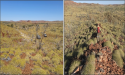 Exploration to Expand Into the East Pilbara